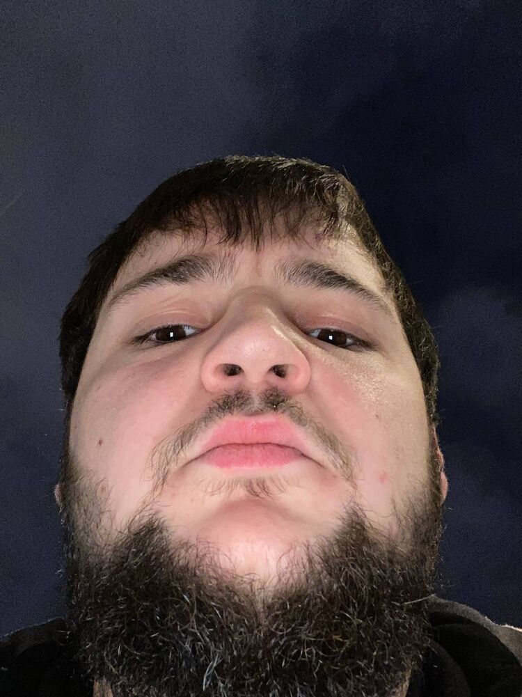 ���� 41459260 ����� Saib, 24 ����, ���� ���������� � ����������