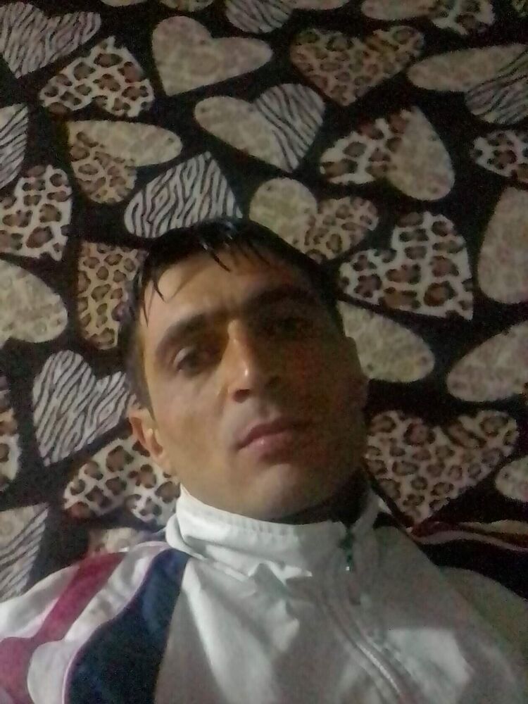 ���� 25788080 ������� ������, 38 ���, ���� ���������� � �������-��-����