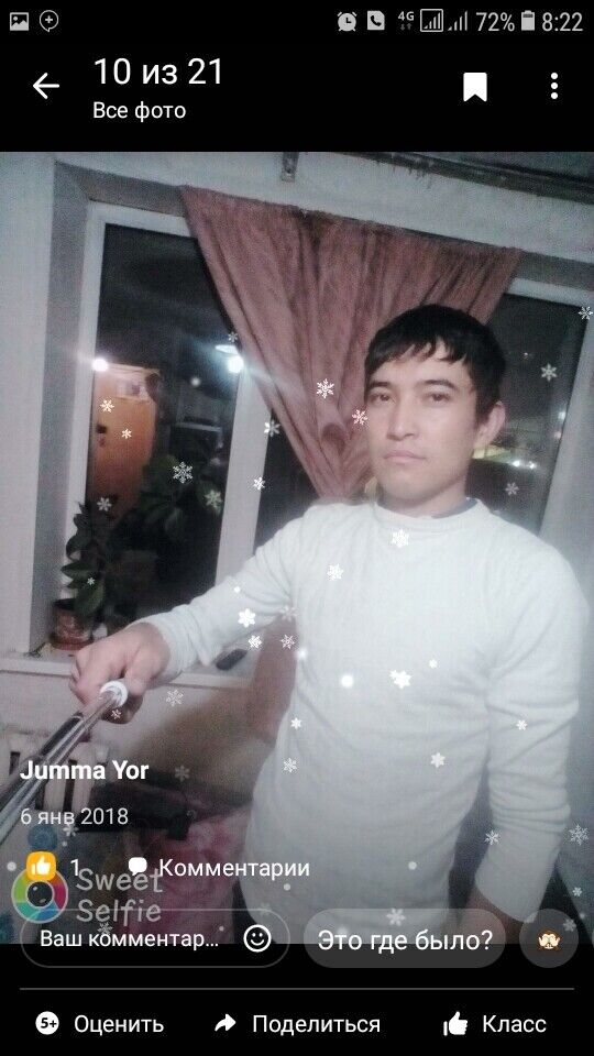  40645070  , 31 ,    