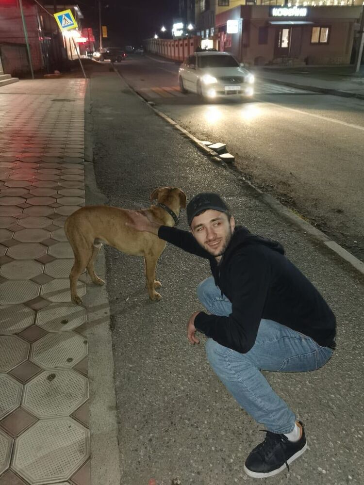  39133720  , 29 ,    