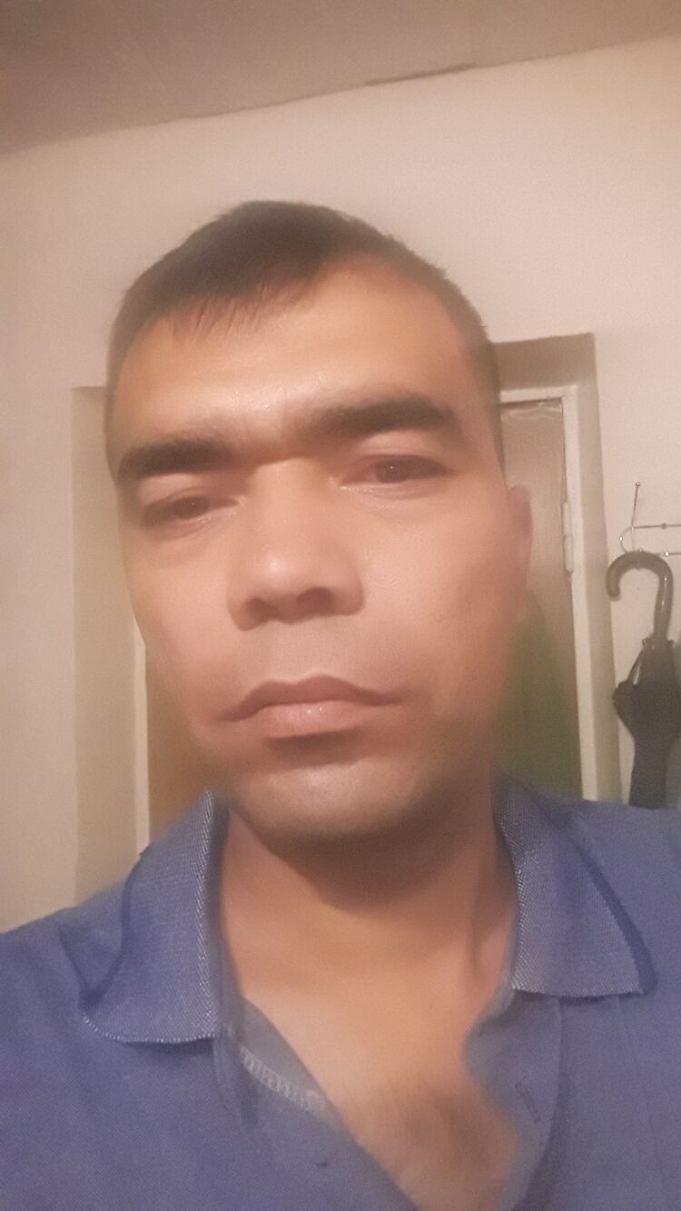  29196360  , 36 ,    