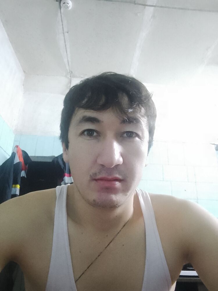 ���� 31167920 ������� �����, 32 ����, ���� ���������� � ����