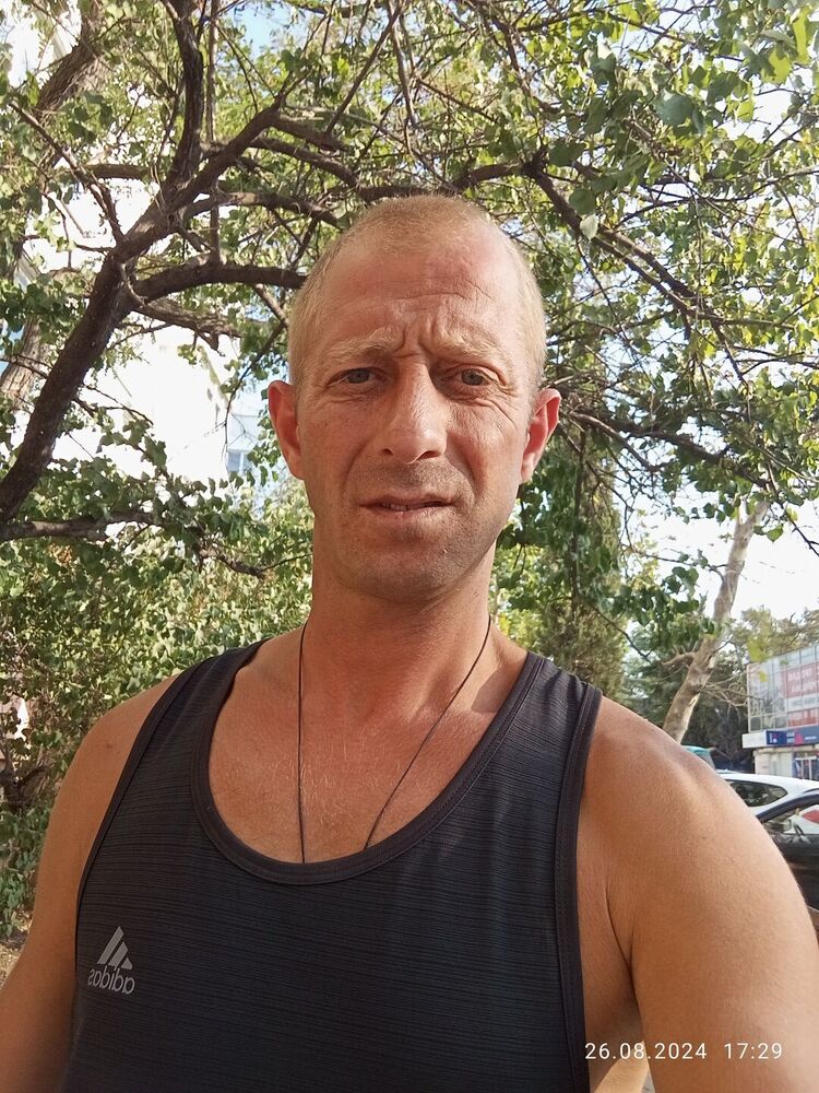  46236290  , 39 ,    