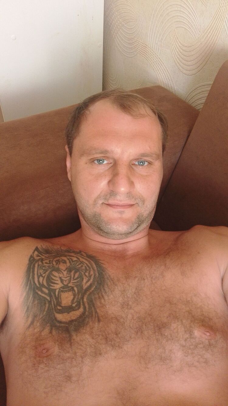  38587240  , 41 ,    