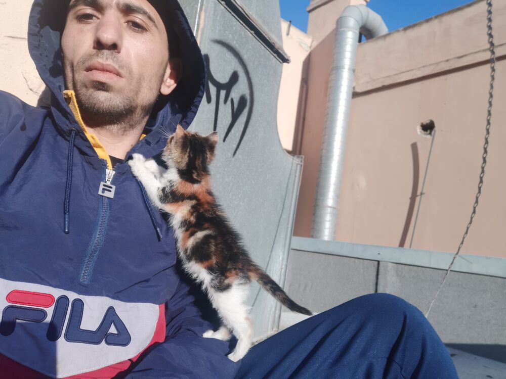  22735370  Dio, 37 ,    Limassol