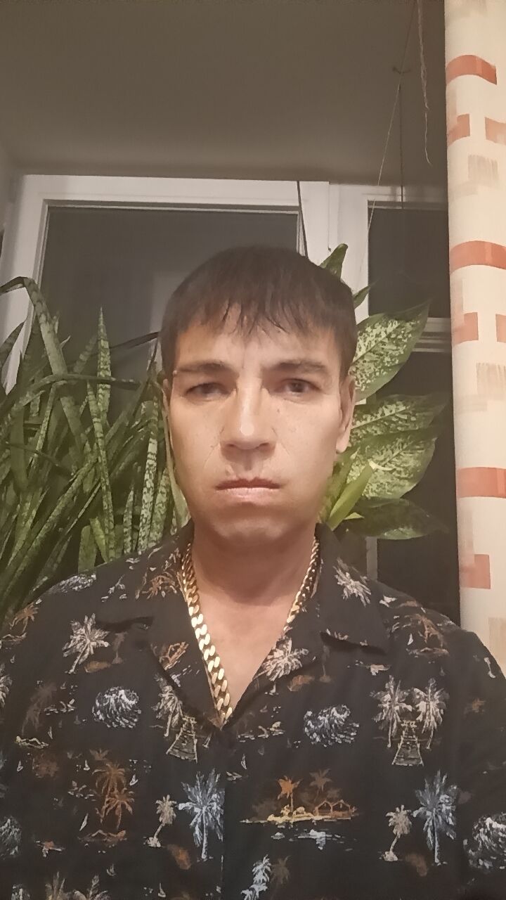  53925650  , 30 ,    