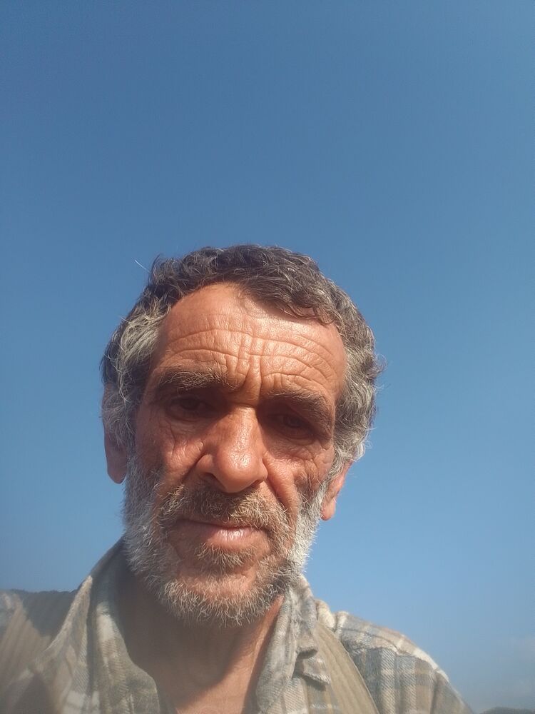  37347070  , 59 ,    