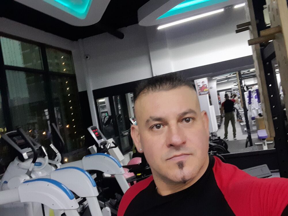  53137170  , 43 ,    