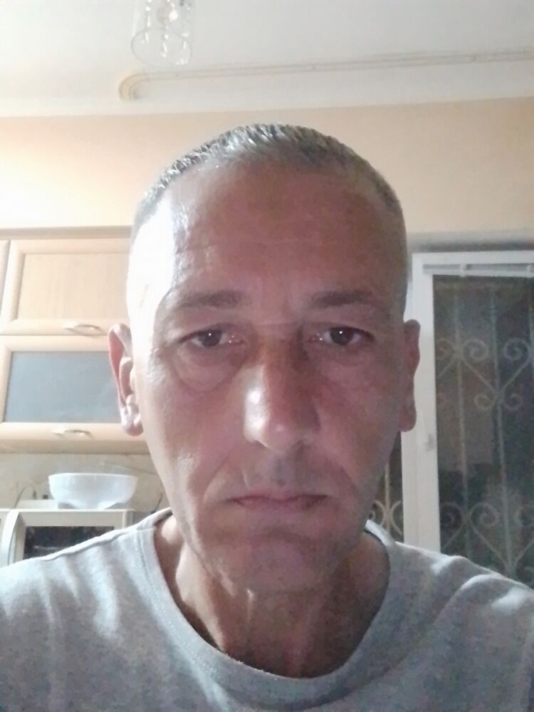  43184480  , 51 ,    