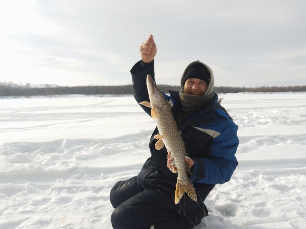 ���������� �������, ���� ������� �����, 36 ���, ������������ ��� ������, ����� � ���������, c�������� ���������