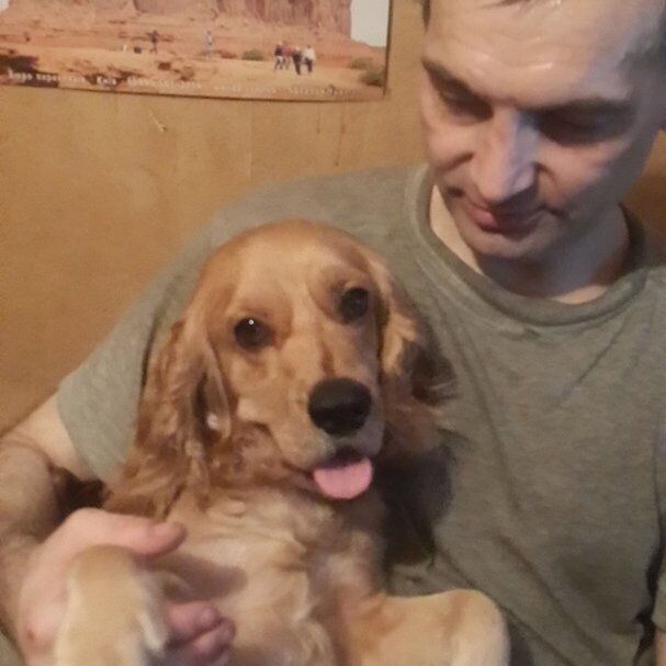 ���� 55788560 ������� ������, 50 ���, ���� ���������� � �����