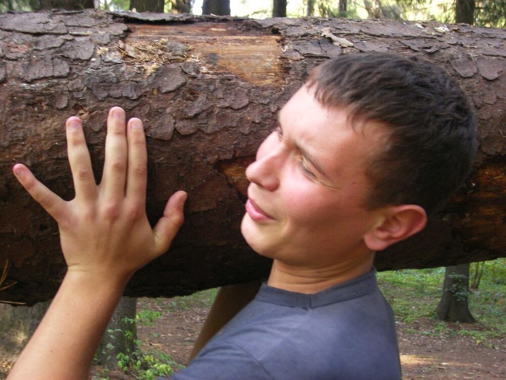 ���������� ������, ���� ������� ���������, 40 ���, ������������ ��� ������, ����� � ���������, c�������� ���������