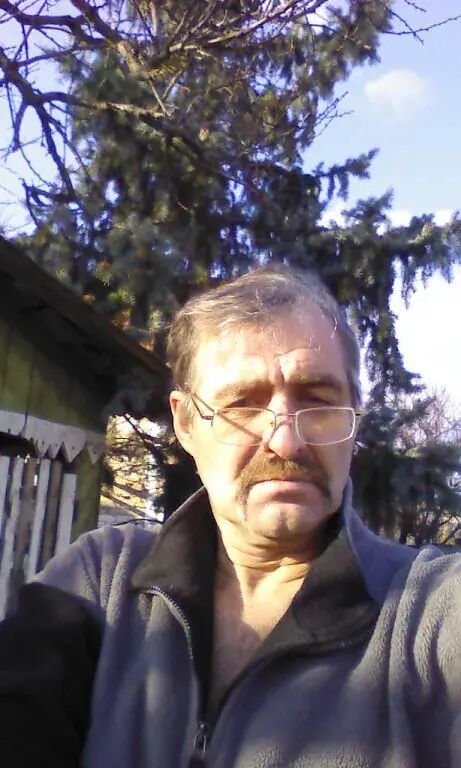  43439500  , 62 ,    