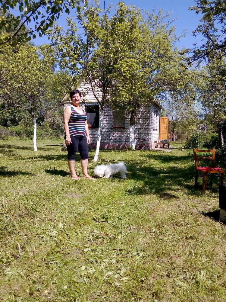  ,   , 65 ,     , c 