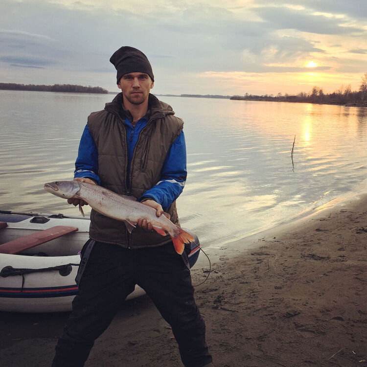 ���� 26020290 ������� Nick, 33 ����, ���� ���������� � ������