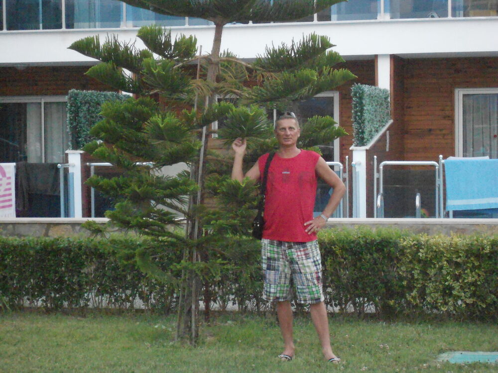  ,   , 51 ,  