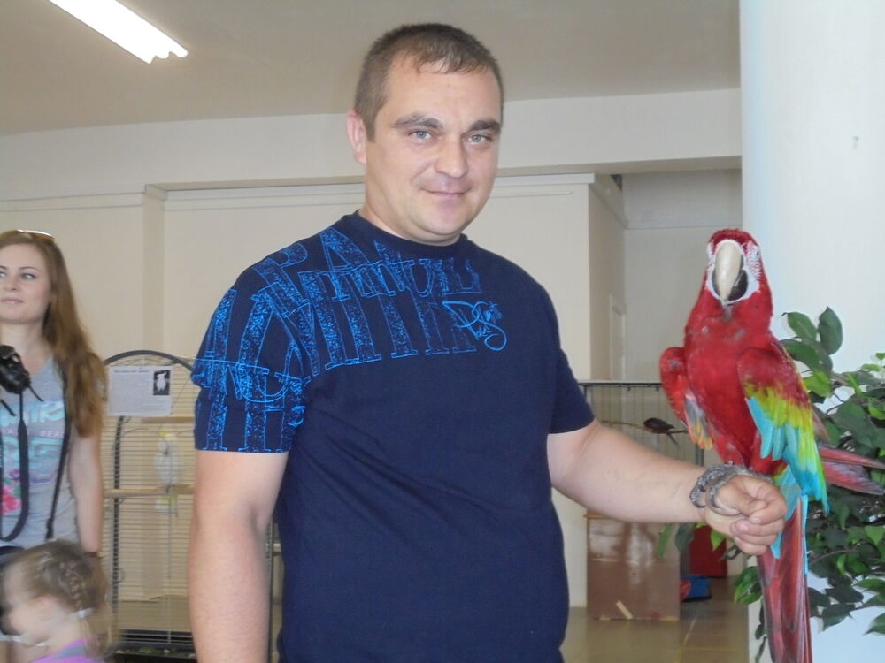 ���� 11882740 ������� ����, 45 ���, ���� ���������� � ��������