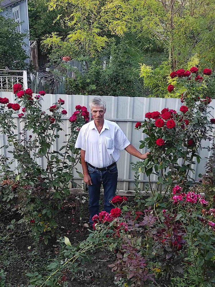  ,   , 56 ,   ,   