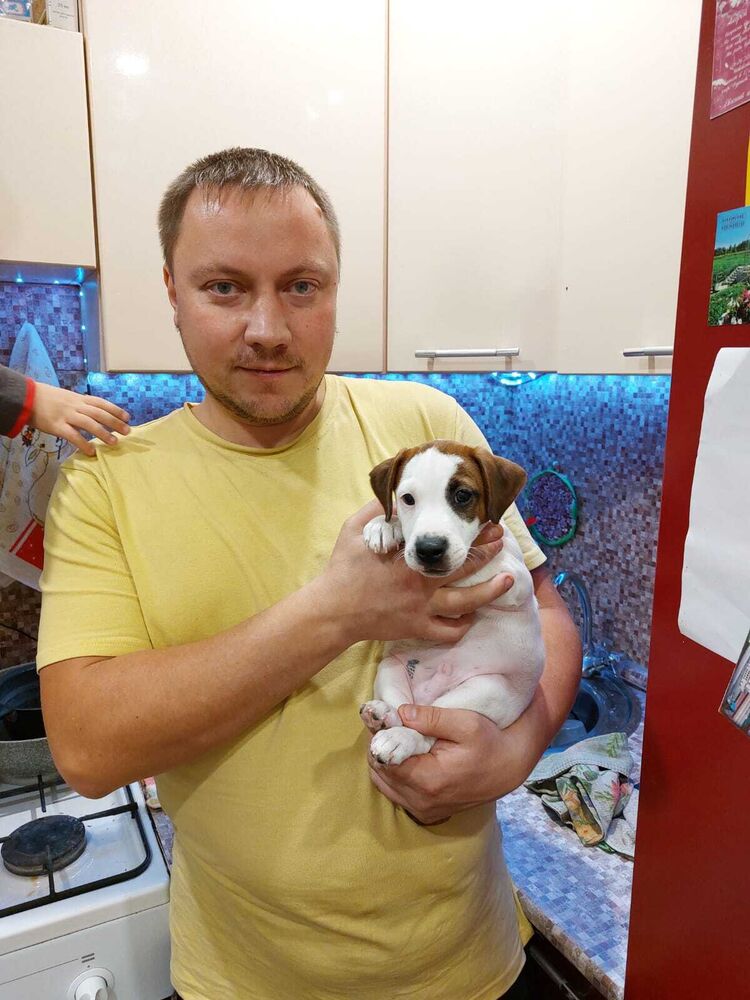 ���� 40579400 ������� ������, 39 ���, ���� ���������� � ������