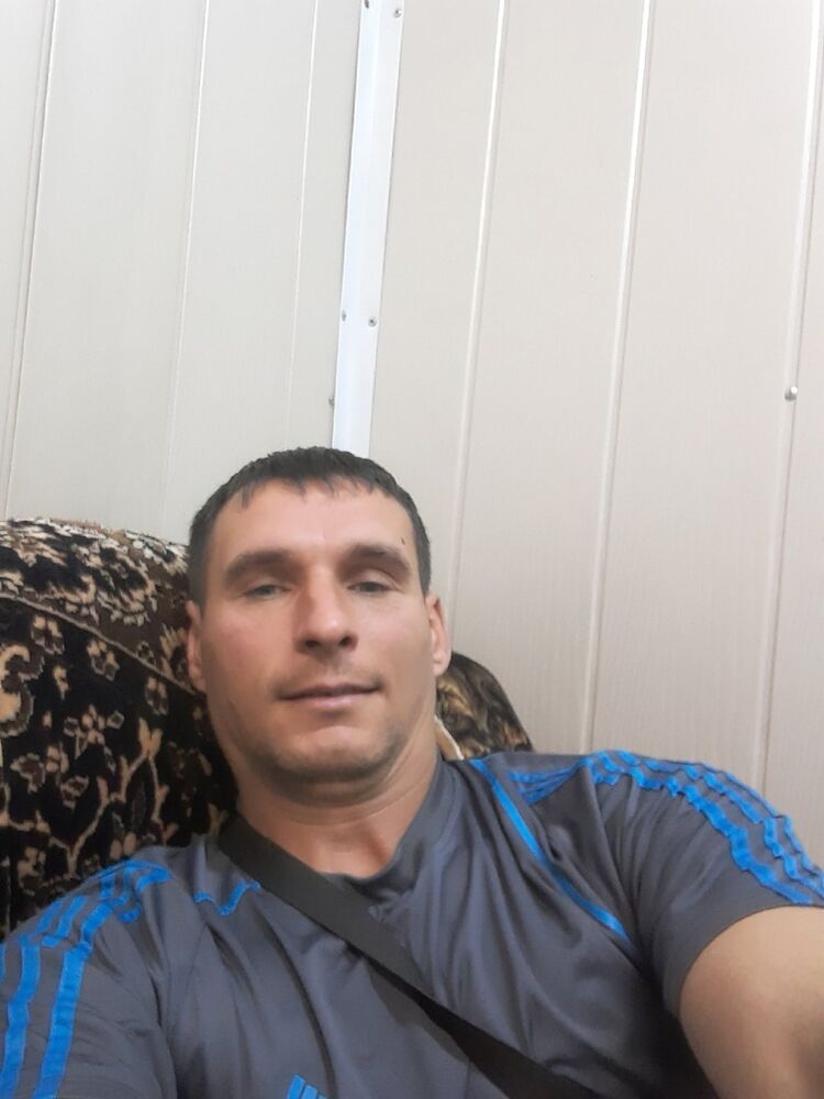  ,   Vitek, 44 ,     , c 