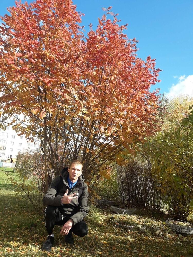 ���� 30446790 ������� ����, 40 ���, ���� ���������� � ������