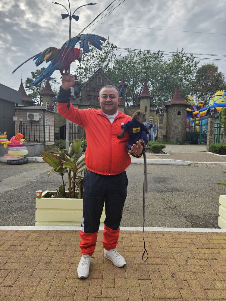 ���������� �����-���������, ���� ������� ������, 38 ���, ������������ ��� ������, ����� � ���������