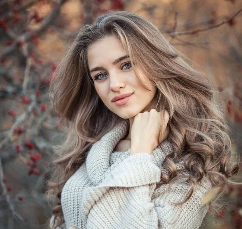 ���� 31853080 ������� �����, 43 ����, ���� ���������� � ������