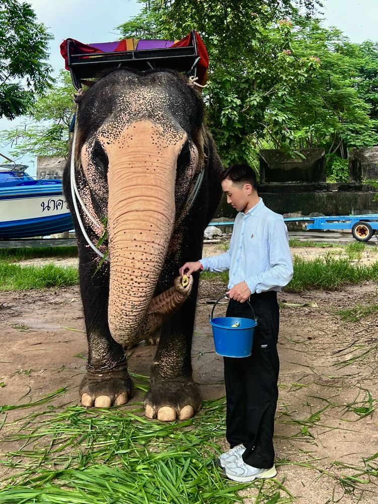  ,   , 31 ,     , c , 