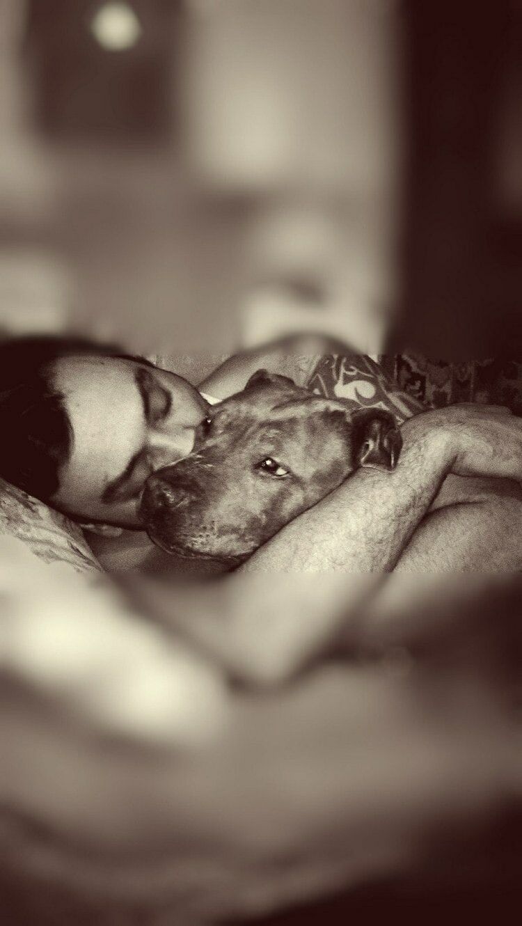 ���������� ���, ���� ������� ������, 42 ����, ������������ ��� ������, ����� � ���������, c�������� ���������