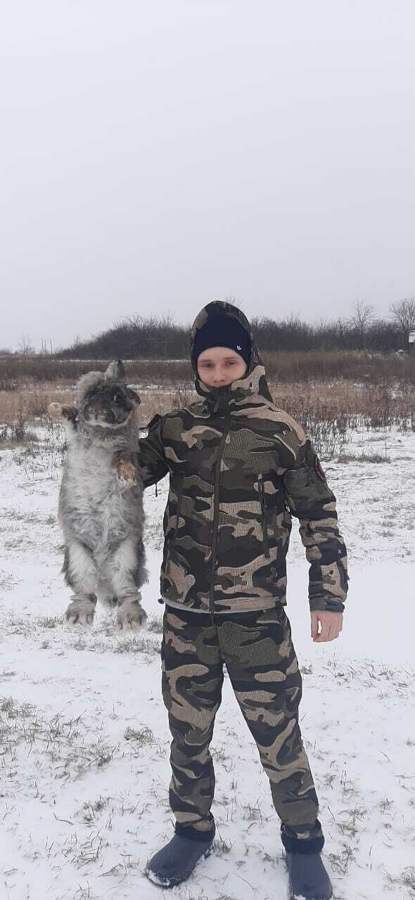 ���������� ������, ���� ����� �������, 21 ���, ������������ ��� ������, ����� � ���������, c�������� ���������, ���������