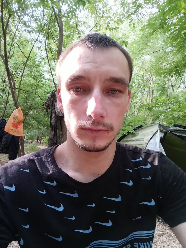  52990950  , 29 ,    