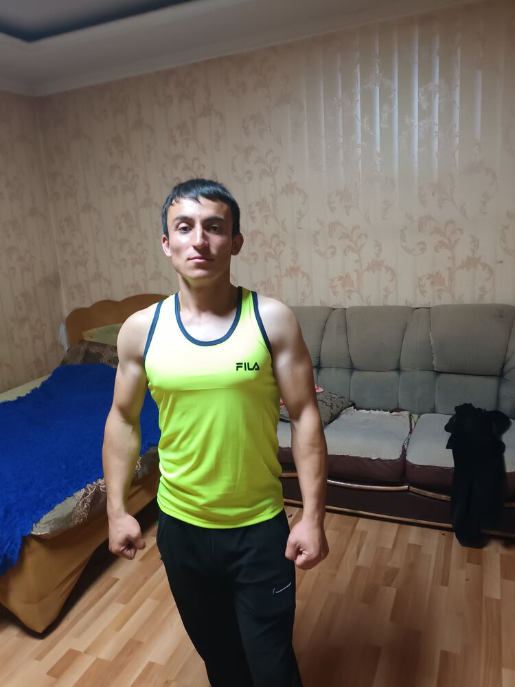  28381110  , 28 ,    
