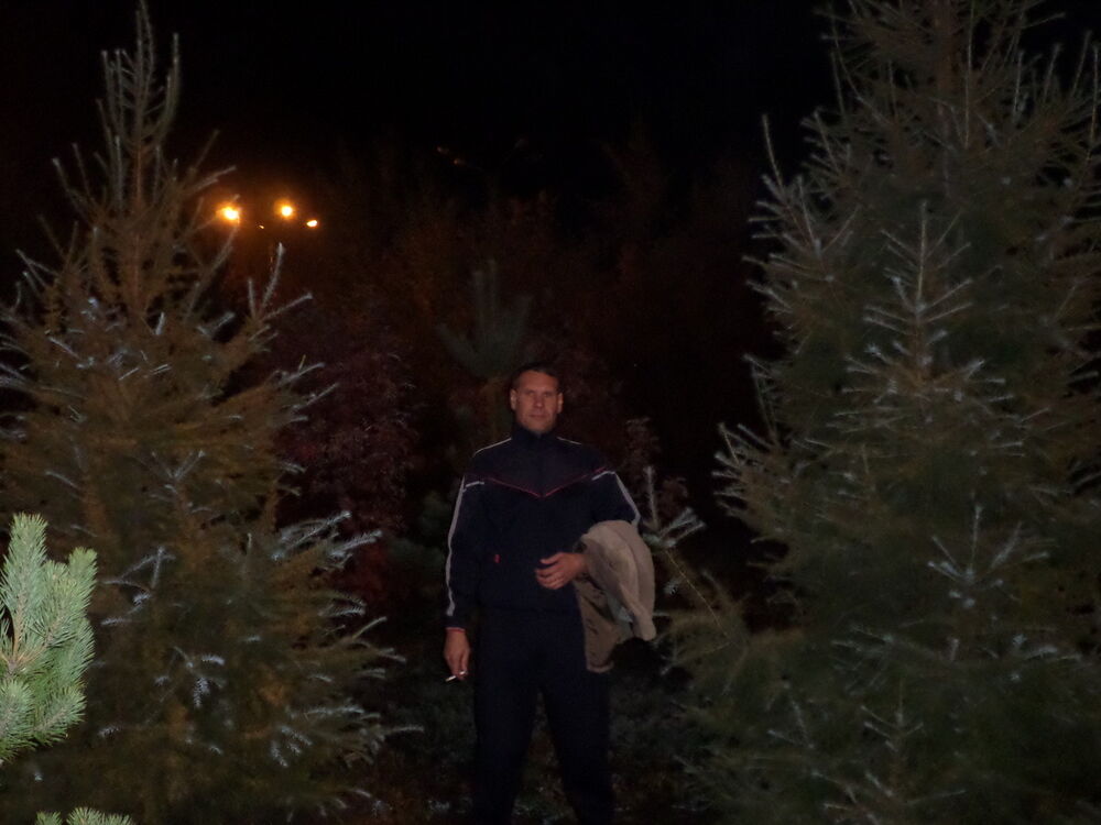  ,   , 46 ,   
