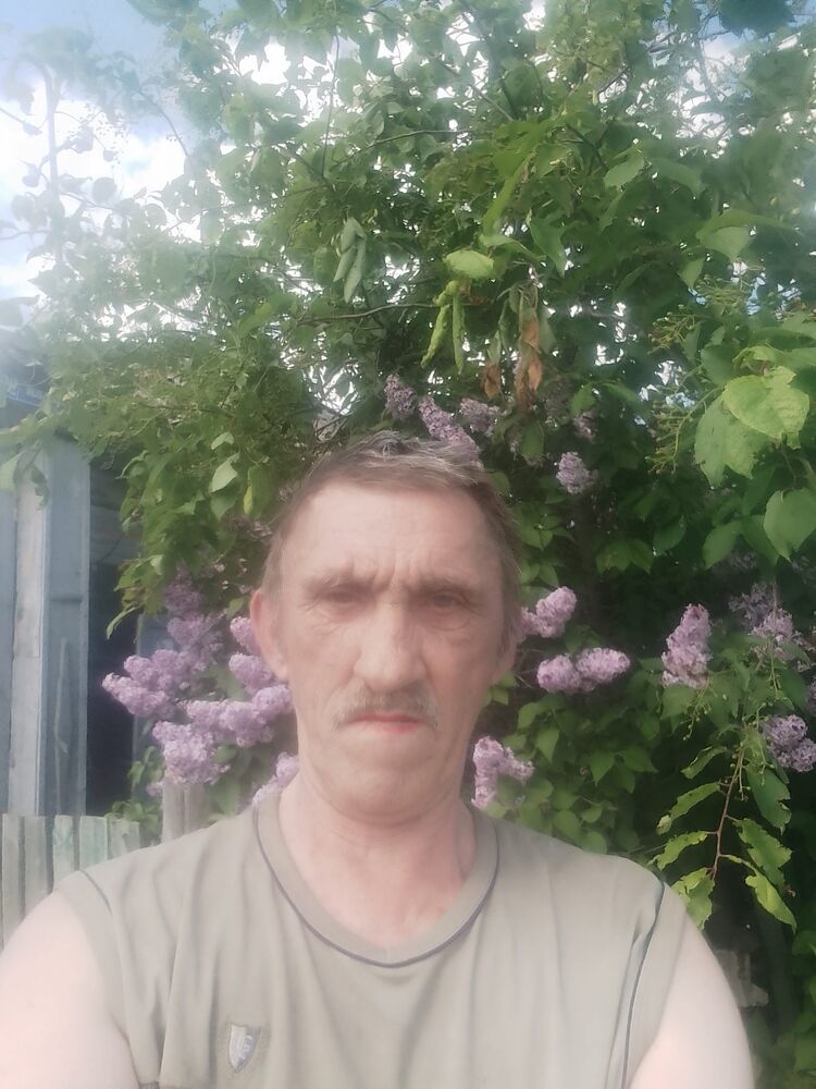  43813490  , 60 ,    