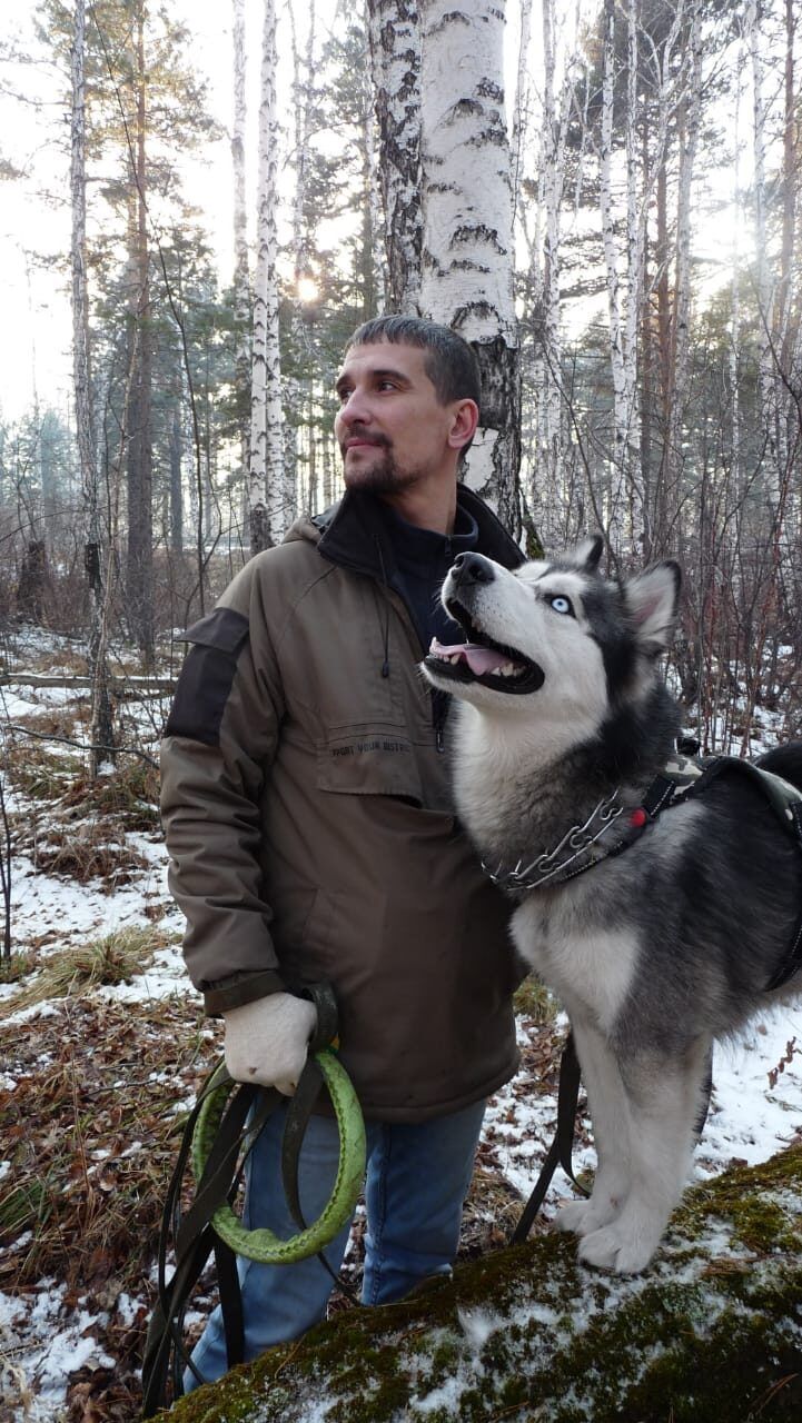 ���� 28486700 ������� ����, 42 ����, ���� ���������� � ��������