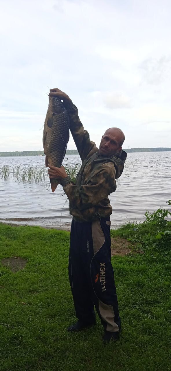 ���������� ������������, ���� ������� �����, 45 ���, ������������ ��� ������, ����� � ���������