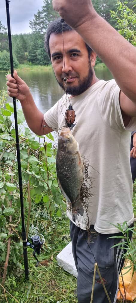 ���������� ������������, ���� ������� �����, 36 ���, ������������ ��� ������, ����� � ���������