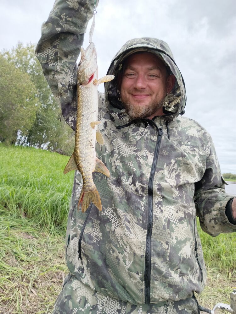 ���������� �����-���������, ���� ������� ��������, 41 ���, ������������ ��� ������, ����� � ���������