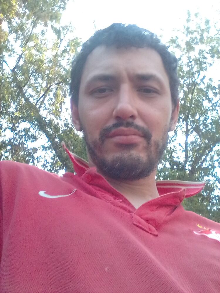  33693580  , 41 ,    