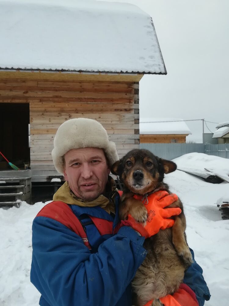 ,   , 50 ,   
