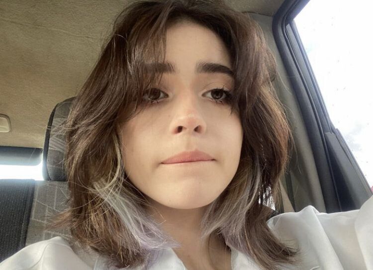  ,   , 24 ,  