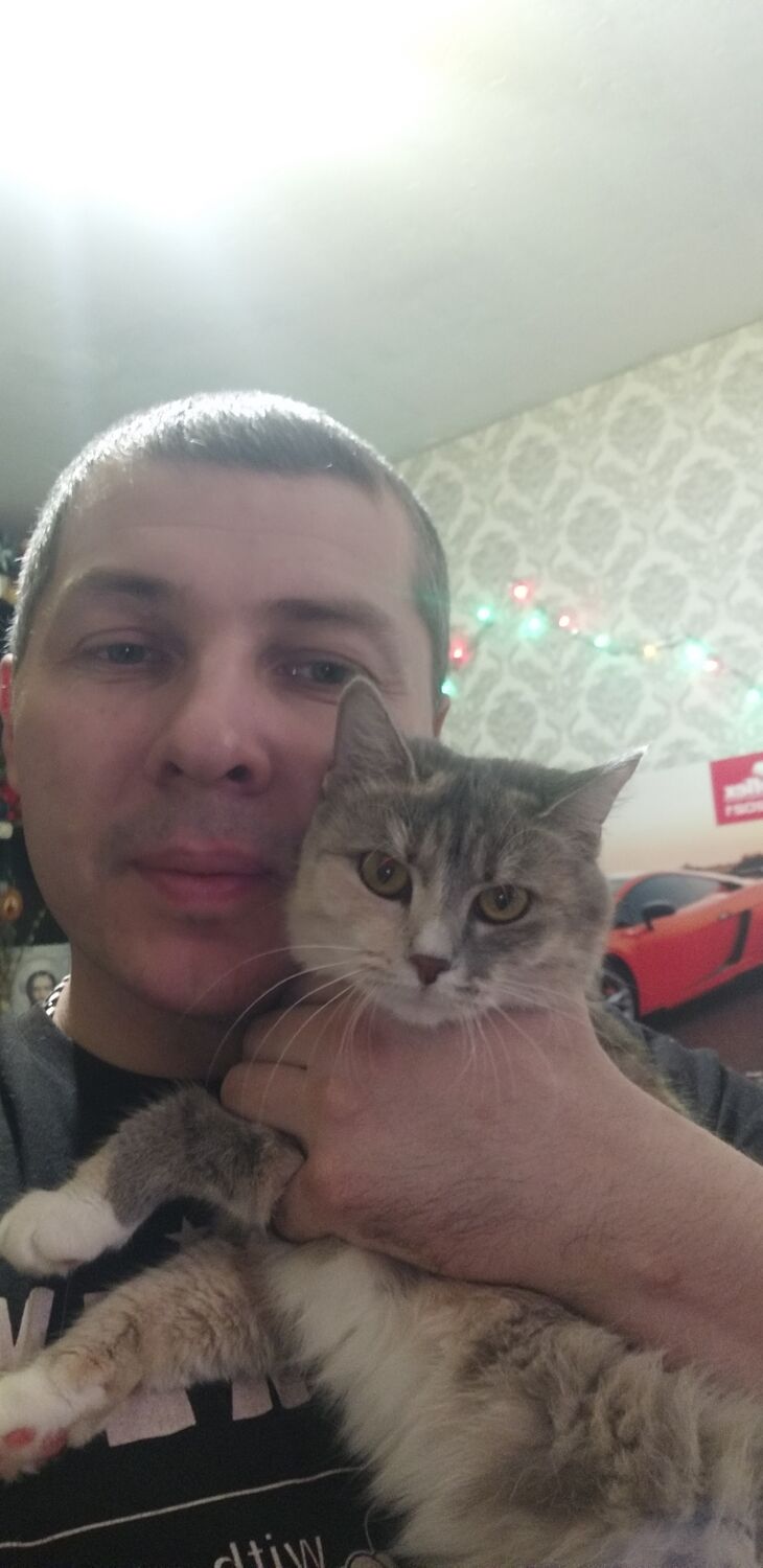 ���������� ������, ���� ������� �����, 44 ����, ������������ ��� c�������� ���������