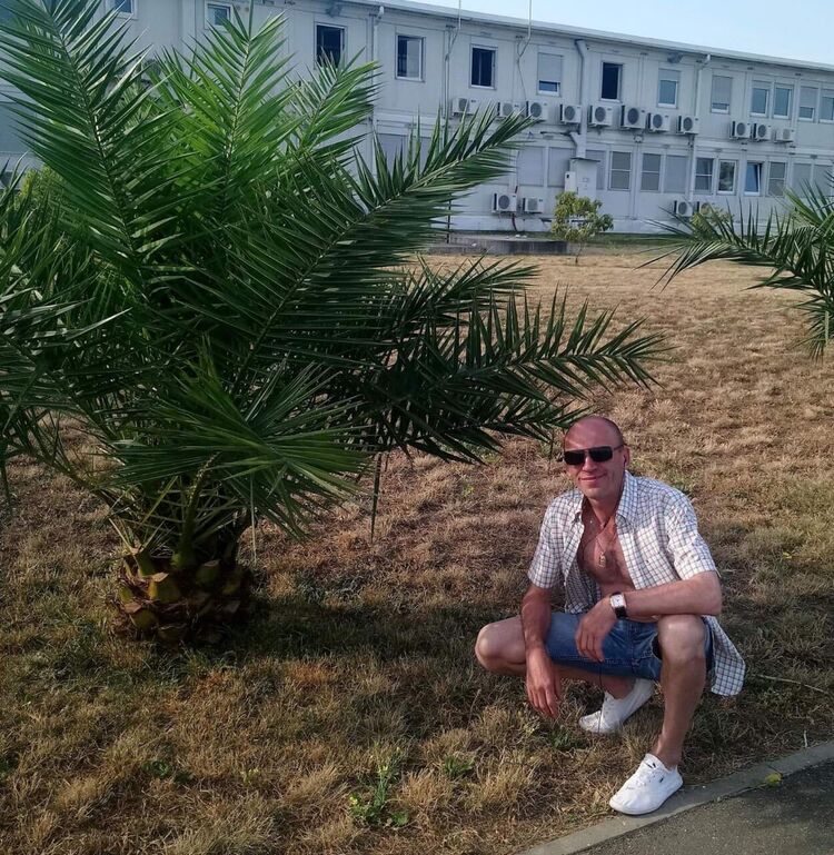  23772010  , 46 ,    
