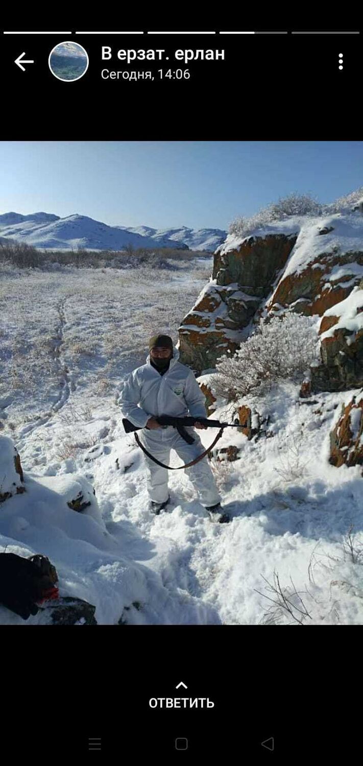 ���������� �����, ���� ������� �����, 37 ���, ������������ ��� ������, ����� � ���������