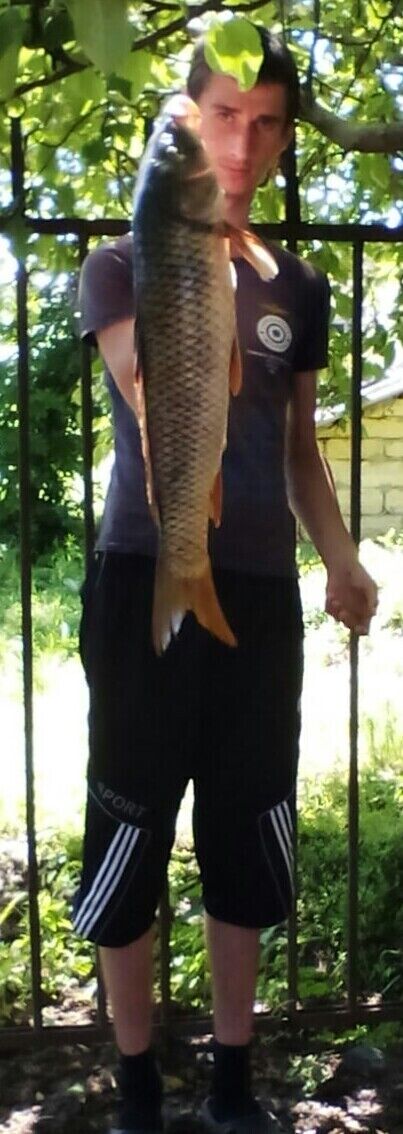 ���������� ����������, ���� ������� ������, 32 ����, ������������ ��� ������, ����� � ���������, c�������� ���������