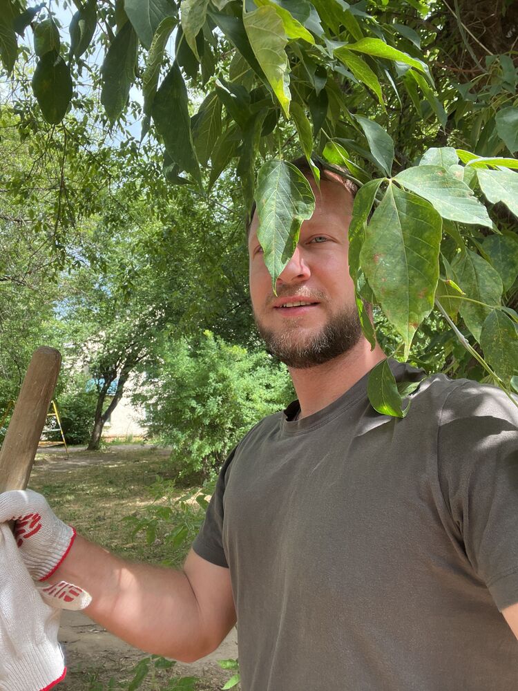 ���������� ���������, ���� ������� Li, 37 ���, ������������ ��� ������, ����� � ���������