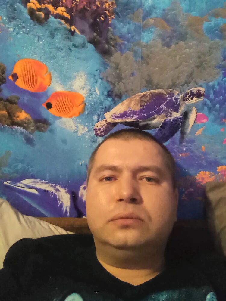  33980440  , 39 ,    