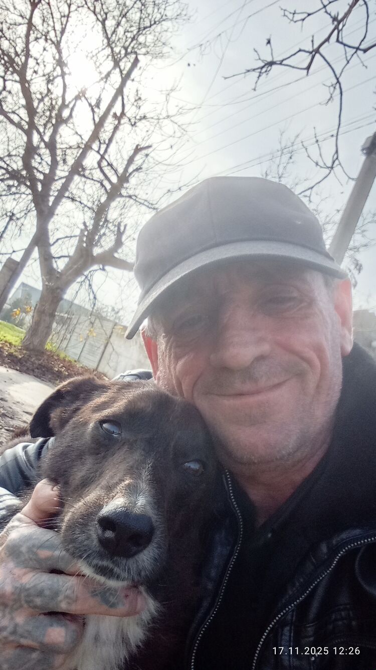 ���������� �����������, ���� ������� ������, 52 ����, ������������ ��� ������, ����� � ���������