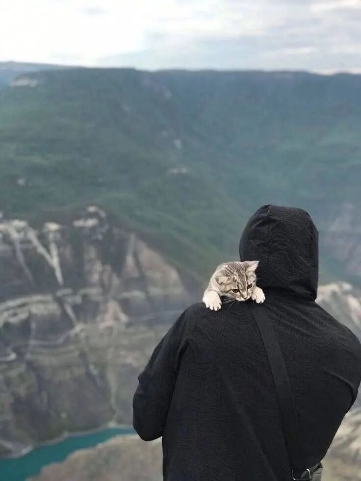 ���� 37823220 ������� ����, 32 ����, ���� ���������� � ������������