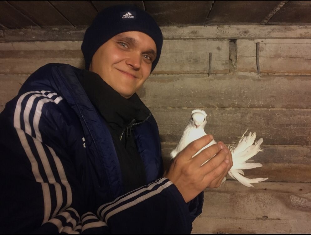 ���������� ������, ���� ������� �����, 35 ���, ������������ ��� ������, ����� � ���������, c�������� ���������